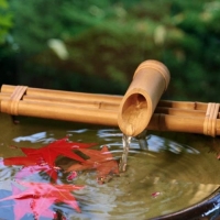 Bamboo Fountains